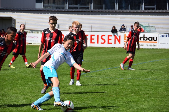 能够以自由 能够以自由