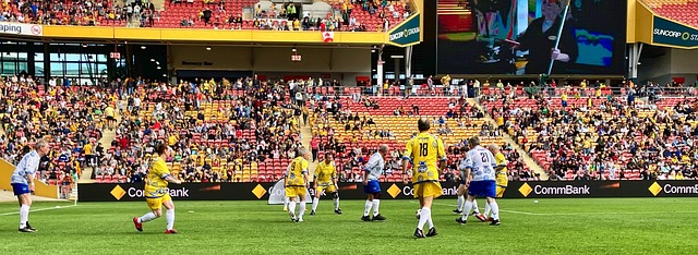 这就引发了 这就引发了