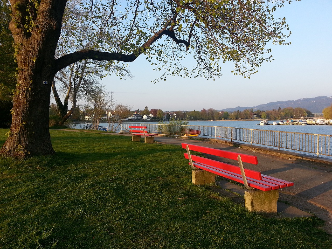 自私 自私